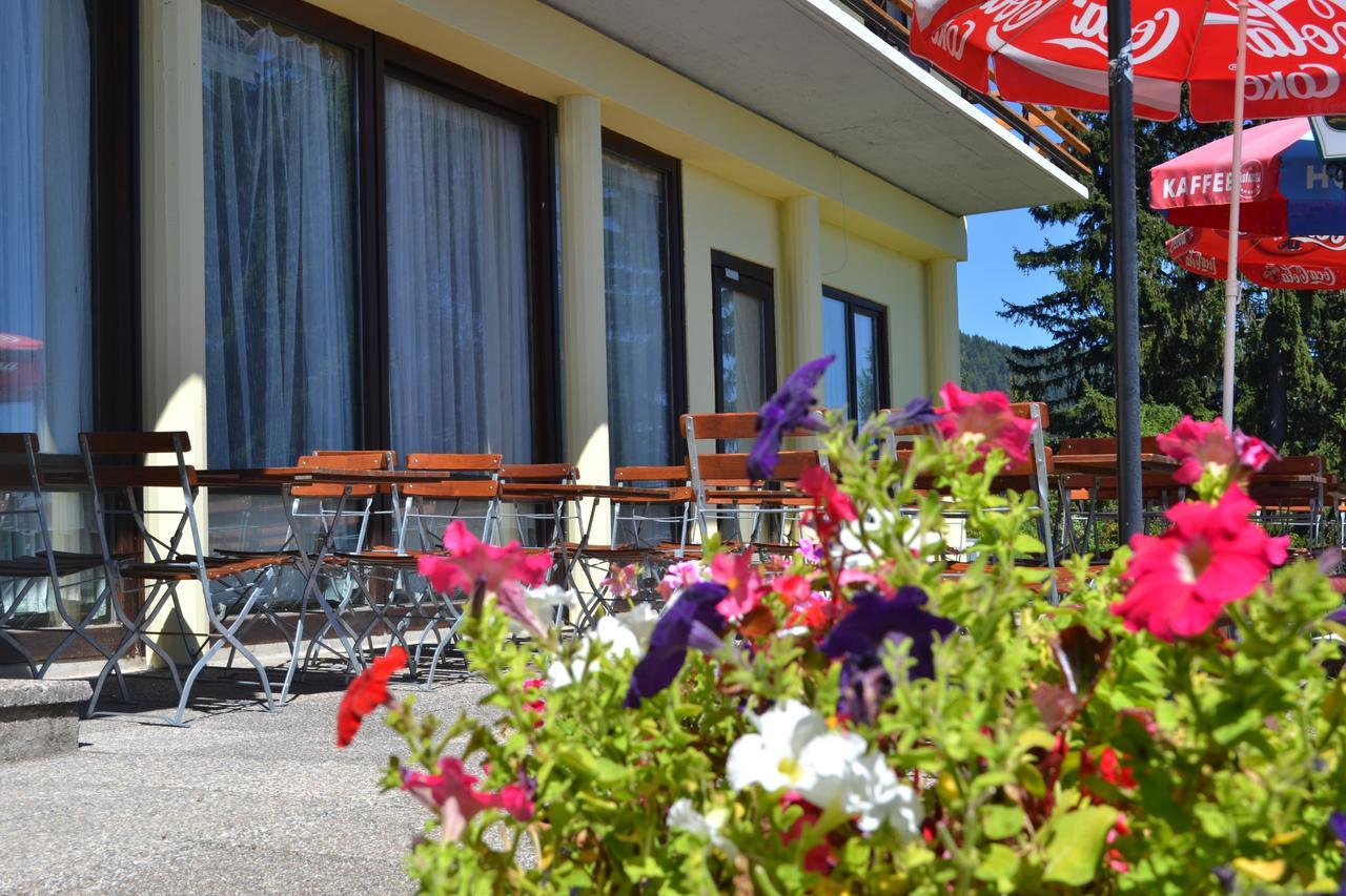 Hotel Alpinum トレフェン エクステリア 写真