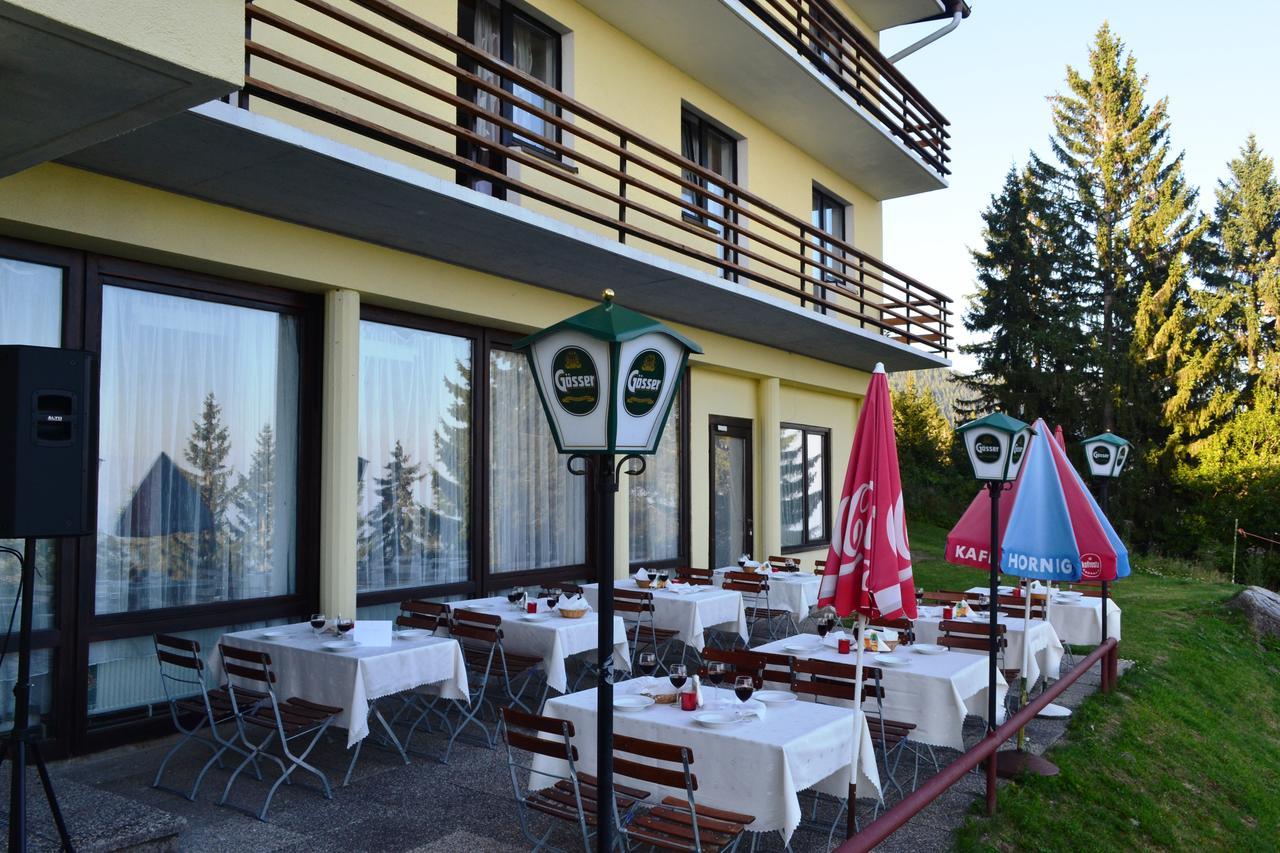 Hotel Alpinum トレフェン エクステリア 写真